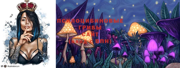 герыч Верхний Тагил