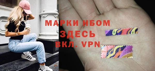 стаф Волосово